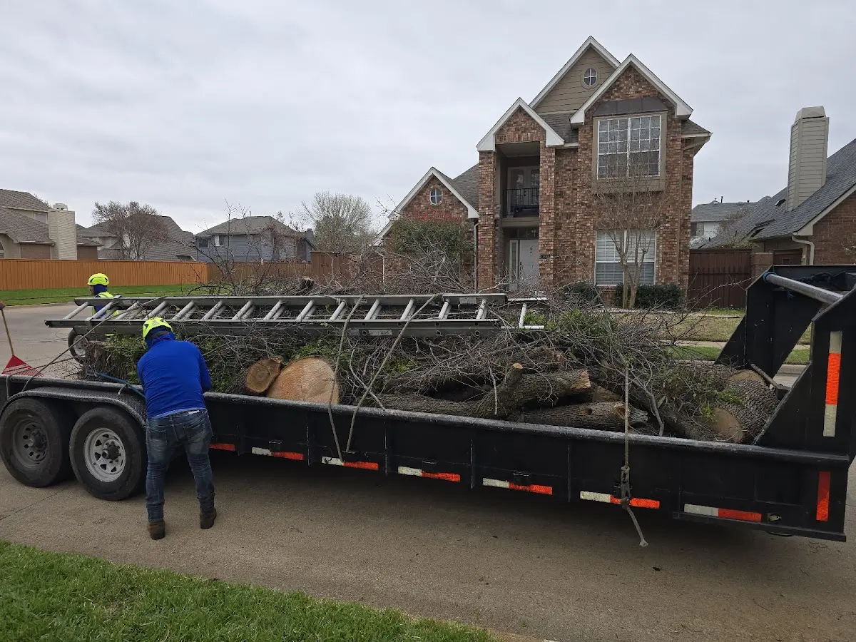Expert Tree Removal with proper safety equipment in Beverly Shores